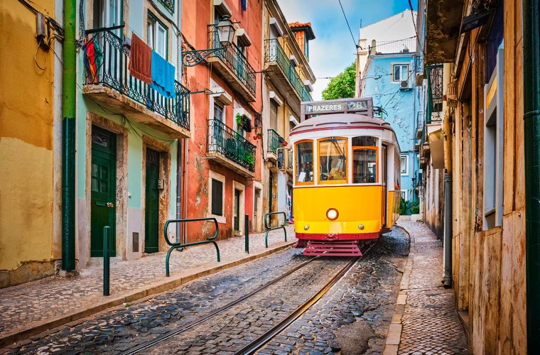 ООН обвиняет Португалию в сокрытии информации о литиевом руднике в Баррозу