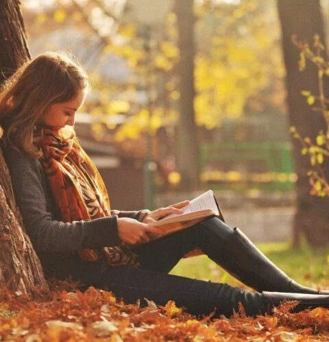 Прогулка по зелёным насаждениям снижает уровень усталости мозга, утверждают учёные