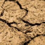 Турция переживает сильнейшую за 50 лет засуху из-за резкого сокращения осадков