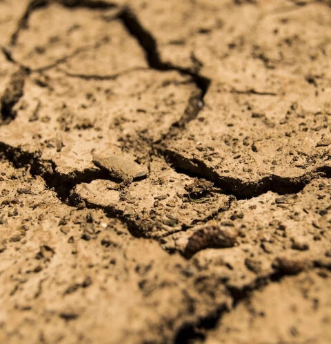 Турция переживает сильнейшую за 50 лет засуху из-за резкого сокращения осадков