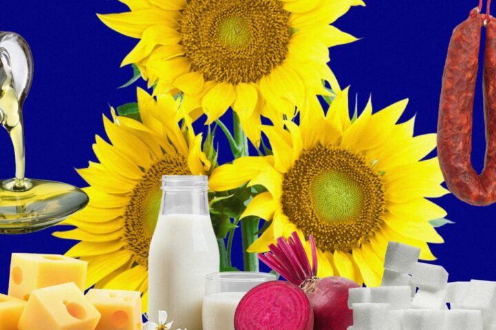 Украина сохраняет ключевую роль в агроэкспорте для ЕС