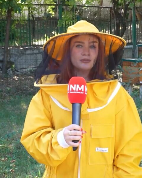 Уникальная программа подготовки пчеловодов в Молдове может закрыться из-за нехватки студентов