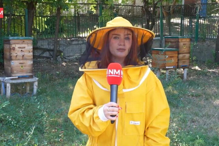 Уникальная программа подготовки пчеловодов в Молдове может закрыться из-за нехватки студентов