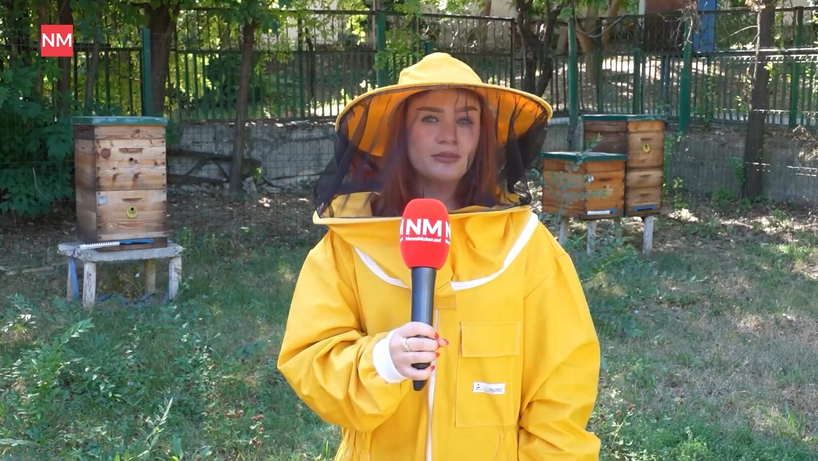 Уникальная программа подготовки пчеловодов в Молдове может закрыться из-за нехватки студентов