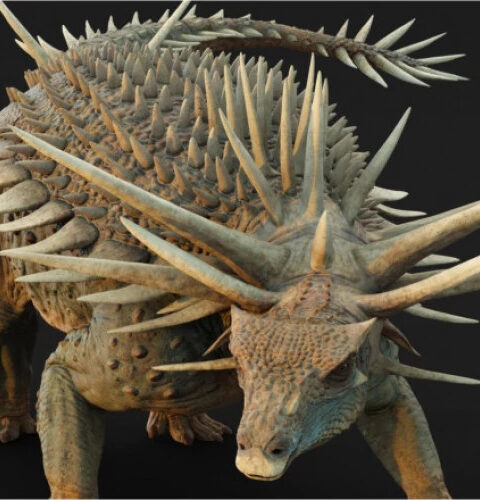 В Марокко найден необычный динозавр с метровыми шипами, живший 165 миллионов лет назад