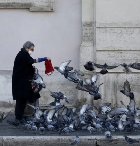 В Риме мэр запретил женщине кормить голубей, попрощавшихся с соседями