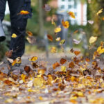 В Швейцарии проходят референдумы, в том числе о запрете сдувателей листьев в Цюрихе