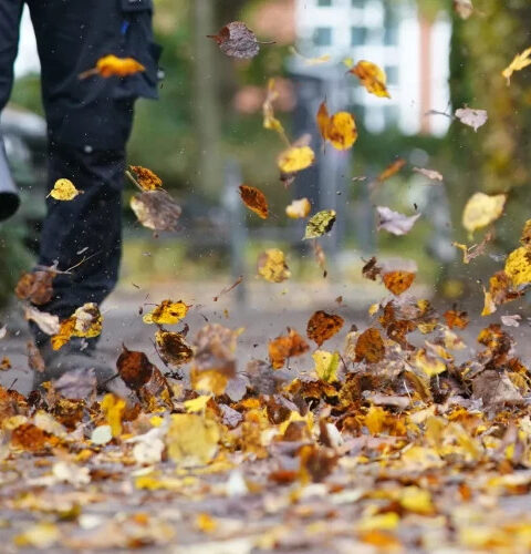 В Швейцарии проходят референдумы, в том числе о запрете сдувателей листьев в Цюрихе