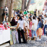 Во дворе резиденции президента в Кондрице прошел второй Фестиваль леса с участием тысяч молдаван