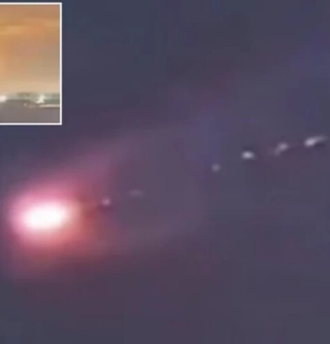 Житель Панамы снял видео о "метеорите" с ростками, вызвавшем сомнения у зрителей