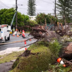 Более 25 тысяч домов остаются без электроснабжения в Австралии из-за шторма