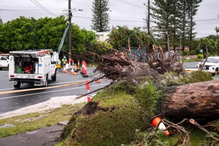 Более 25 тысяч домов остаются без электроснабжения в Австралии из-за шторма