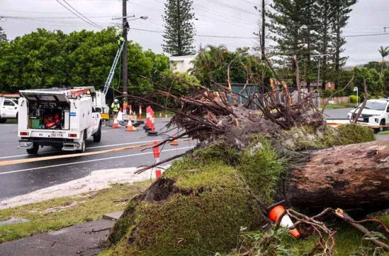 Более 25 тысяч домов остаются без электроснабжения в Австралии из-за шторма