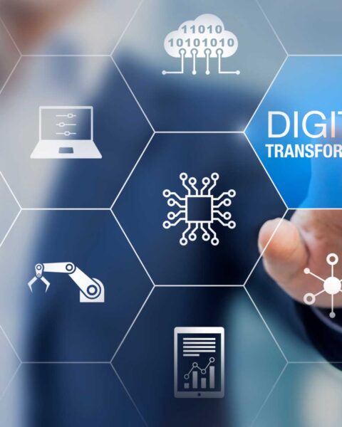 Цифровизация государственных услуг для бизнеса достигает 70% в Молдове