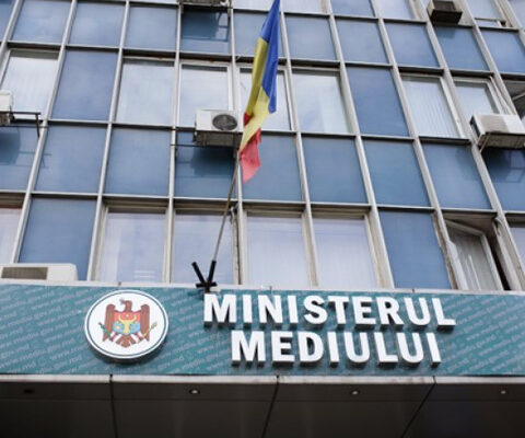 Экологические организации требуют назначения министра окружающей среды по критериям компетентности и честности