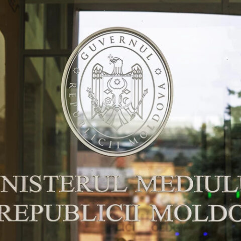 Экологические организации требуют назначения независимого министра окружающей среды в Молдове