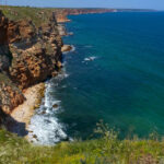 Ферма по разведению моллюсков в Болгарии оказалась лишь бумажным проектом, расследует Европейская прокуратура