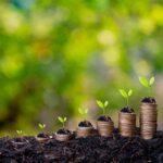 Фермеры Молдовы получили более 6 млн леев в виде прямых и инвестиционных выплат