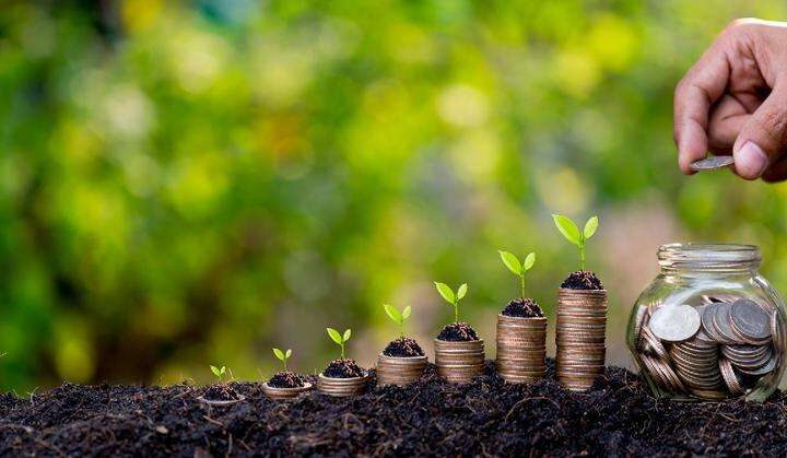 Фермеры Молдовы получили более 6 млн леев в виде прямых и инвестиционных выплат