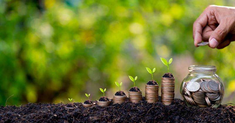 Фермеры Молдовы получили более 6 млн леев в виде прямых и инвестиционных выплат