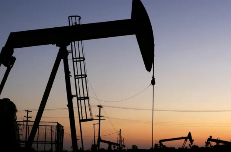 Индийские власти опровергли информацию о сокращении импорта российской нефти