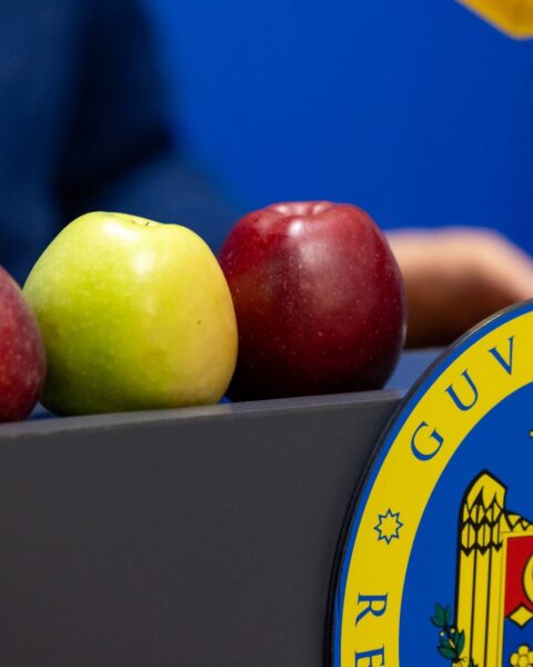 Кишинёв не был уведомлён о блокировке Российской Федерацией партии молдавских яблок