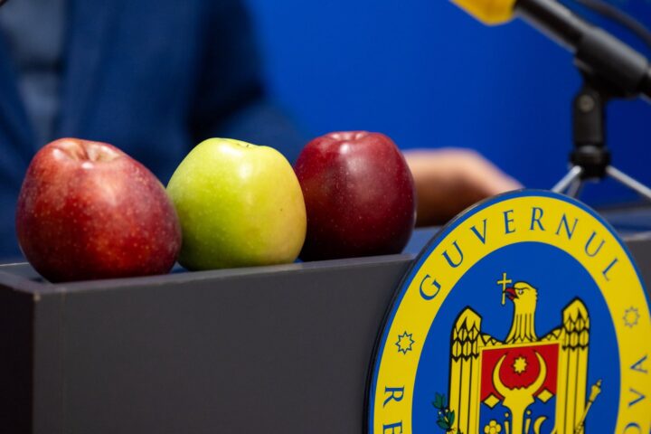 Кишинёв не был уведомлён о блокировке Российской Федерацией партии молдавских яблок