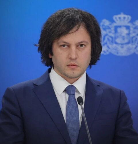 Кобахидзе: представитель ЕС поддержал попытку свержения конституционного строя в Грузии