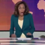 Крыса прервала вечерние новости Al Jazeera во время прямого эфира в Лондоне