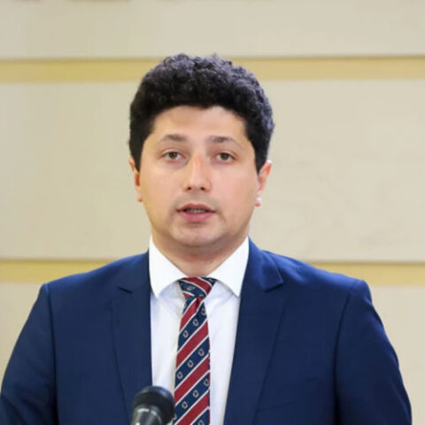 Кто станет главой стратегических комиссий нового парламента: заявление Раду Мариан