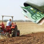 МФСР снижает процентную ставку по кредитам для малых предпринимателей до 6,2% с 15 октября 2025 года