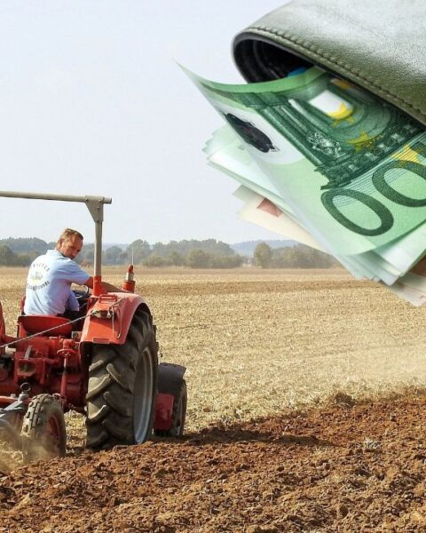 МФСР снижает процентную ставку по кредитам для малых предпринимателей до 6,2% с 15 октября 2025 года