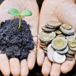 Молдова модернизировала систему сельхозсубсидий: рекордный рост Национального фонда до 1,9 млрд леев