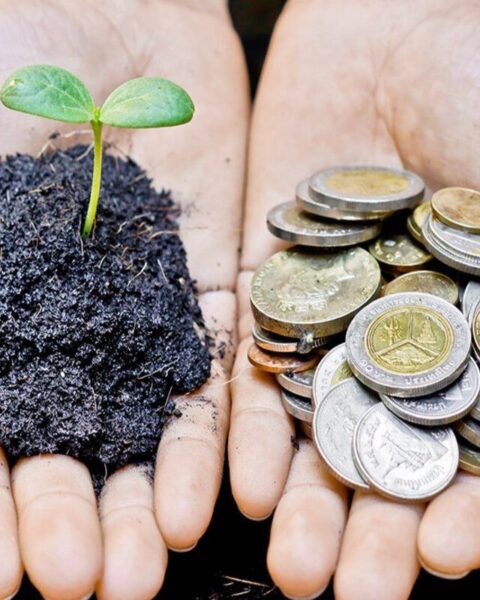 Молдова модернизировала систему сельхозсубсидий: рекордный рост Национального фонда до 1,9 млрд леев