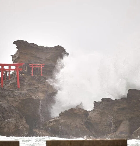 Мощный тайфун "Халон" приближается к японским островам Идзу, объявлено специальное предупреждение