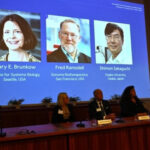 Нобелевская премия по медицине 2023 года присуждена трём лауреатам за исследования иммунной системы