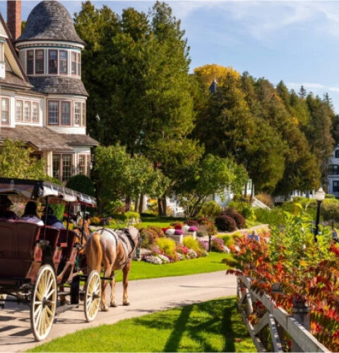 Остров Макино: как 600 жителей и лошадей живут без автомобилей