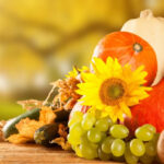 Рецепты осенних блюд для улучшения памяти с овощами и фруктами сезона