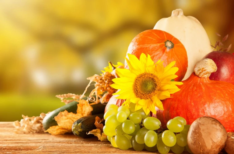 Рецепты осенних блюд для улучшения памяти с овощами и фруктами сезона