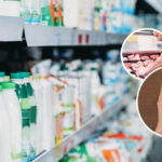 Россияне сокращают покупки молочных продуктов на фоне роста цен