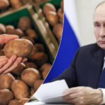 Рост цен на картофель в России превзошёл стоимость мандаринов