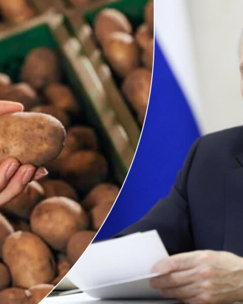 Рост цен на картофель в России превзошёл стоимость мандаринов