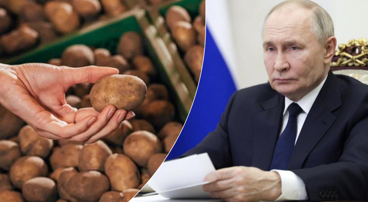 Рост цен на картофель в России превзошёл стоимость мандаринов