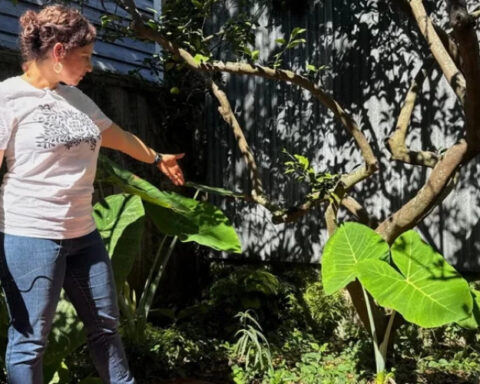 Семья из Нового Орлеана нашла в своём саду надгробие римского моряка tuổi 1900 лет