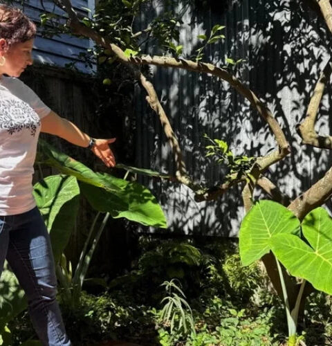 Семья из Нового Орлеана нашла в своём саду надгробие римского моряка tuổi 1900 лет