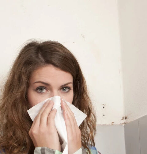 Симптомы отравления плесенью и что с этим делать