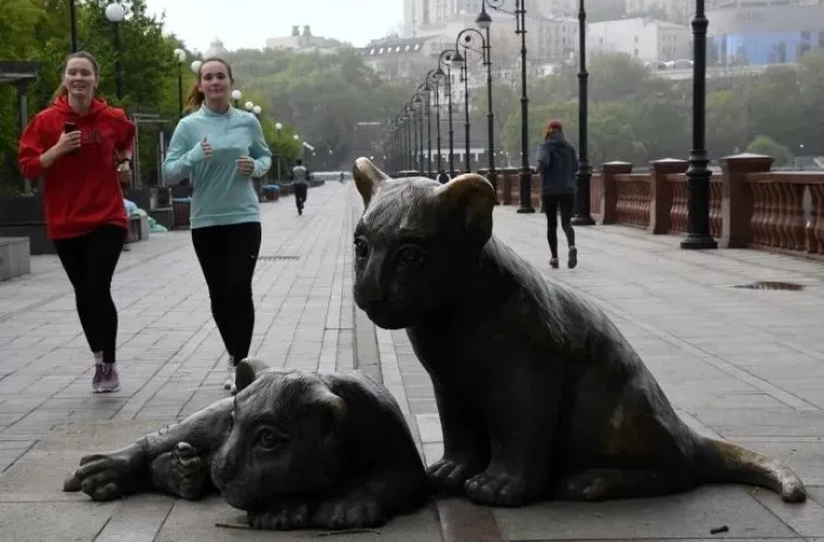Температурный рекорд во Владивостоке побит спустя более 100 лет, 2 октября воздух прогрелся до +23,5 °C