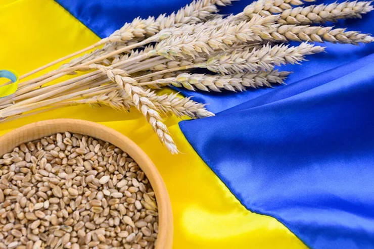 Украинский экспорт зерна укрепляет продовольственную устойчивость Европейского Союза