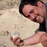 В Аргентине обнаружено сохранившееся яйцо динозавра возрастом 70 миллионов лет