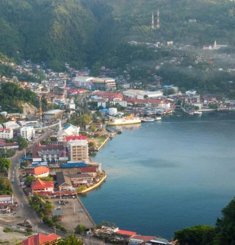 В индонезийской провинции Папуа произошло сильное землетрясение магнитудой 6,7